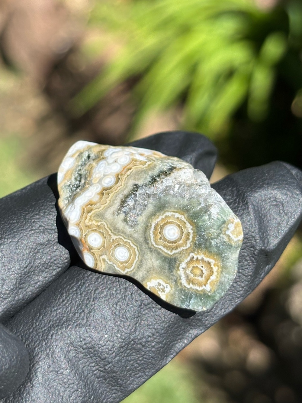 Ocean Jasper Crystal Set - Polished Sea Jasper Bundle - Orbicular Jasper - Picture 7 of 17